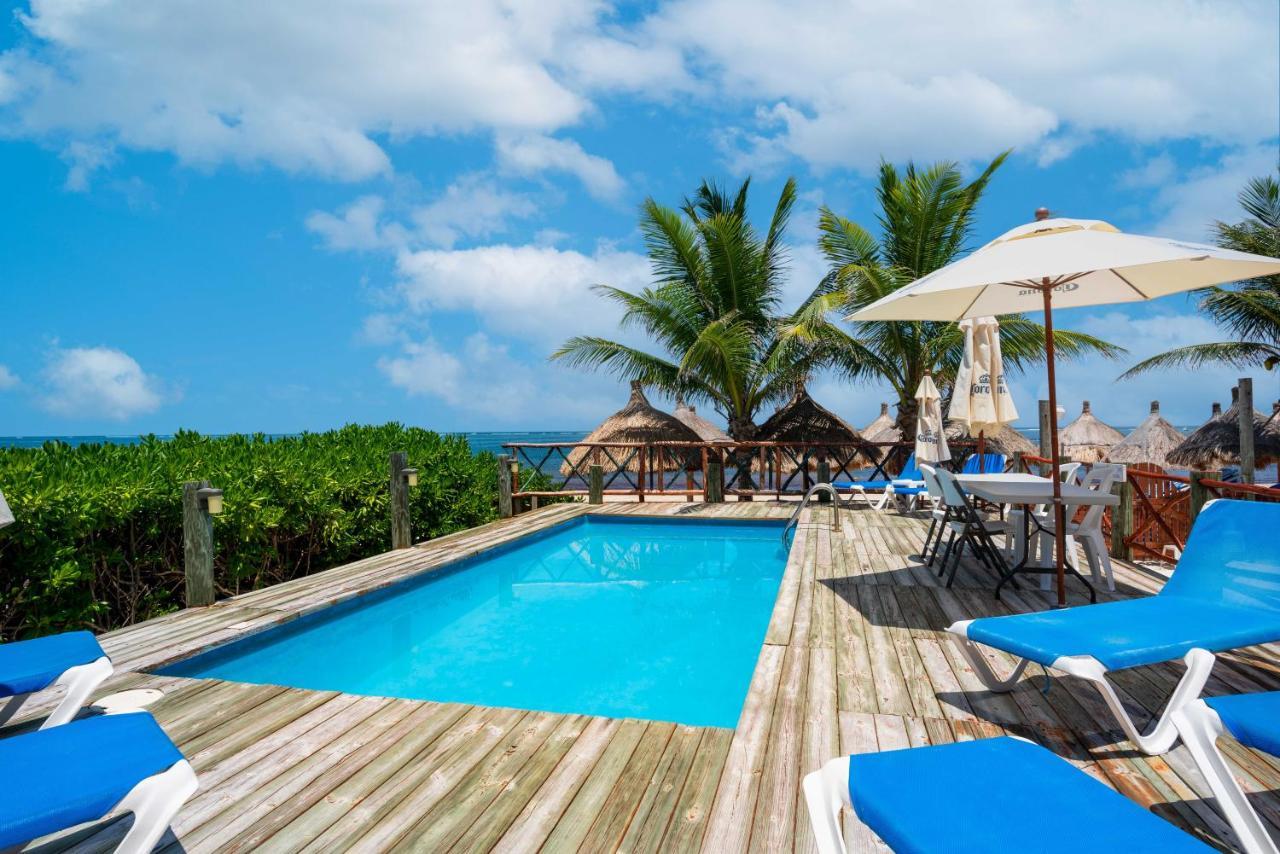 The Diving Lodge Downtown Puerto Morelos Eksteriør billede
