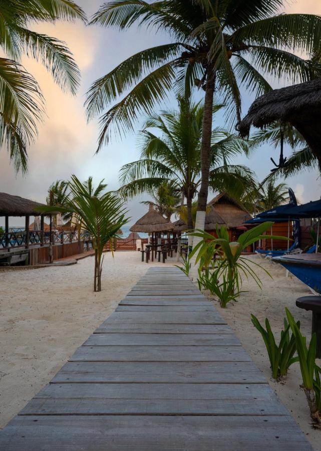 The Diving Lodge Downtown Puerto Morelos Eksteriør billede