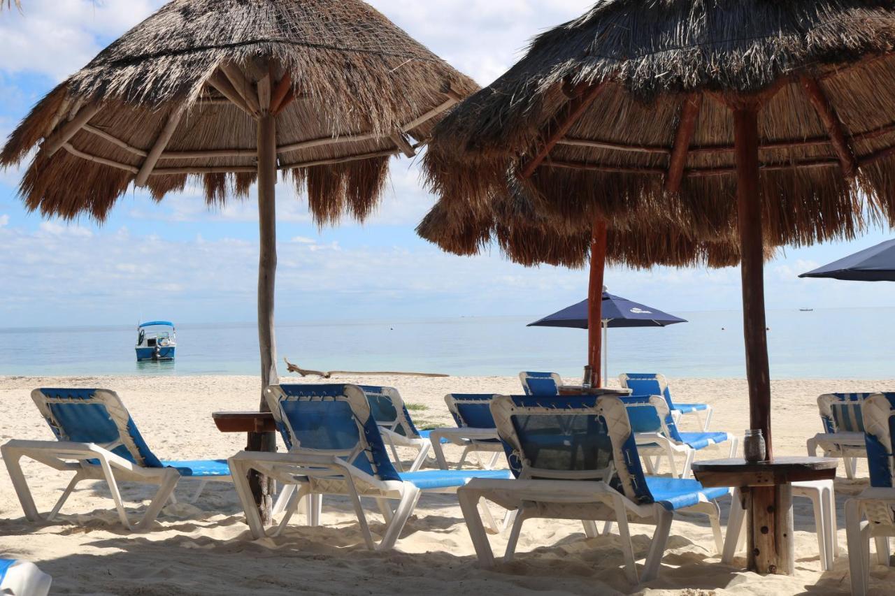 The Diving Lodge Downtown Puerto Morelos Eksteriør billede