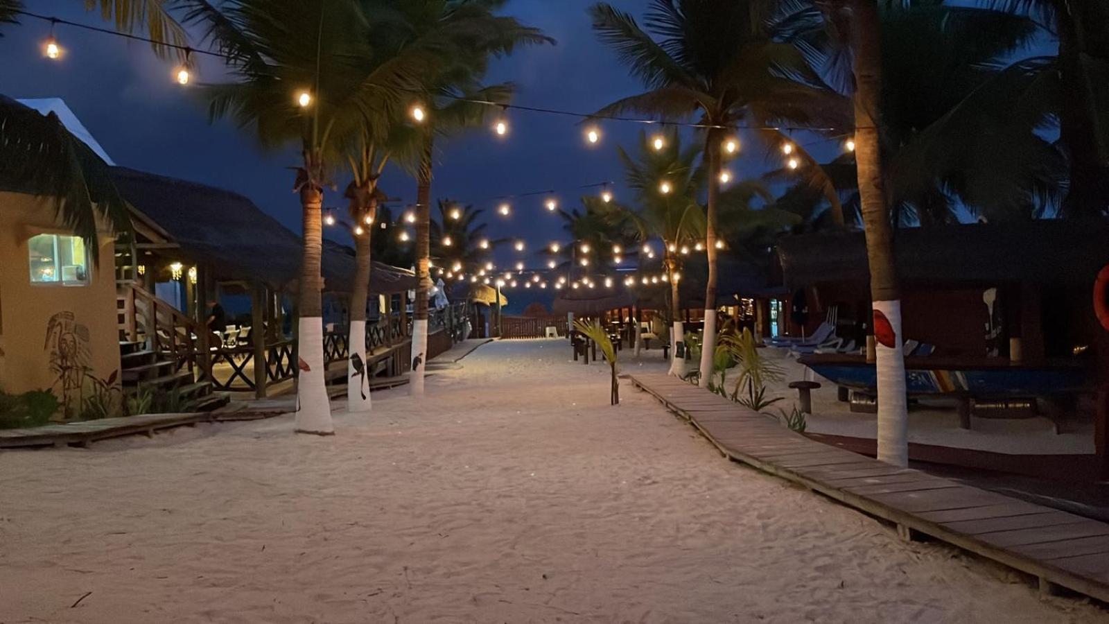 The Diving Lodge Downtown Puerto Morelos Eksteriør billede